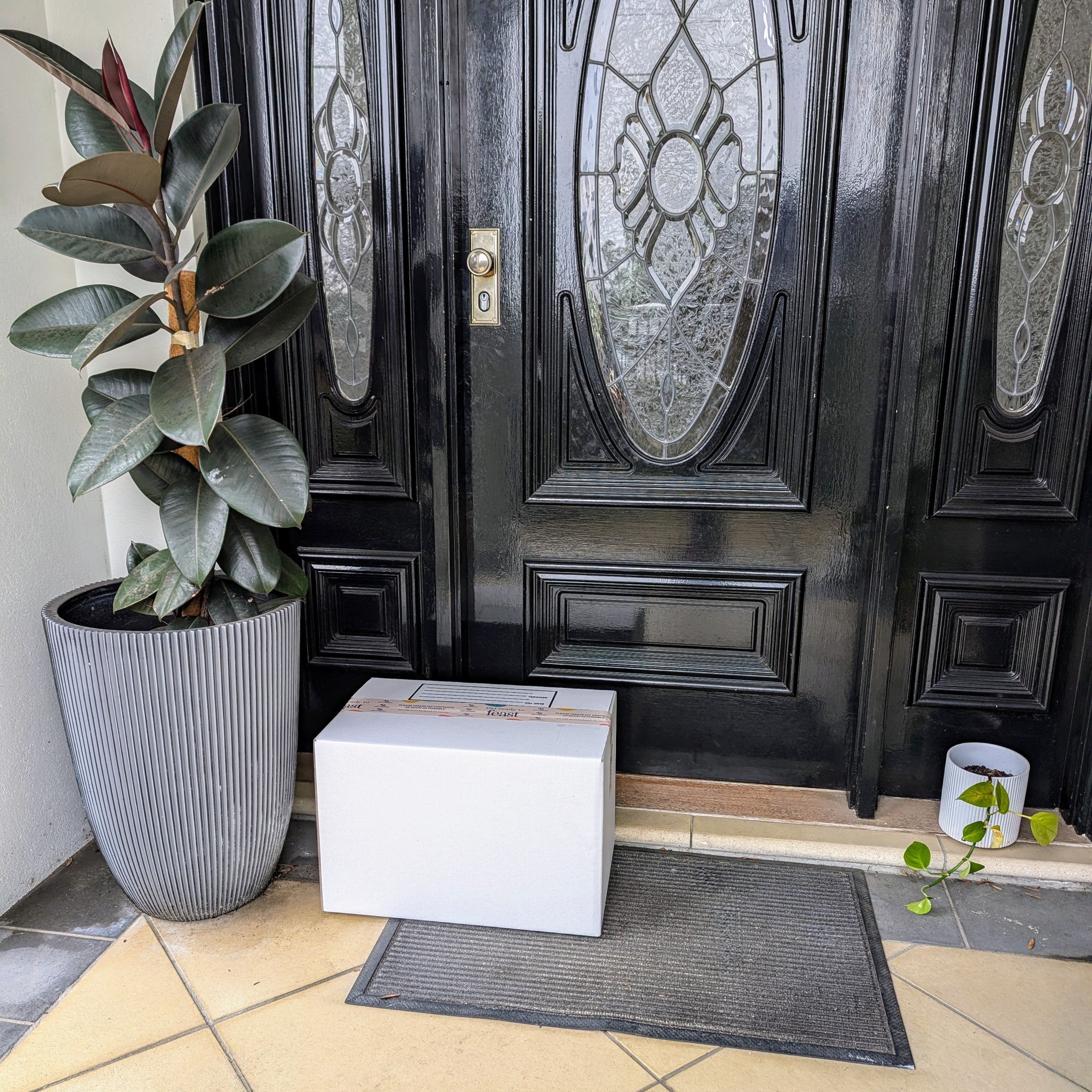 Fill-The-Freezer Box