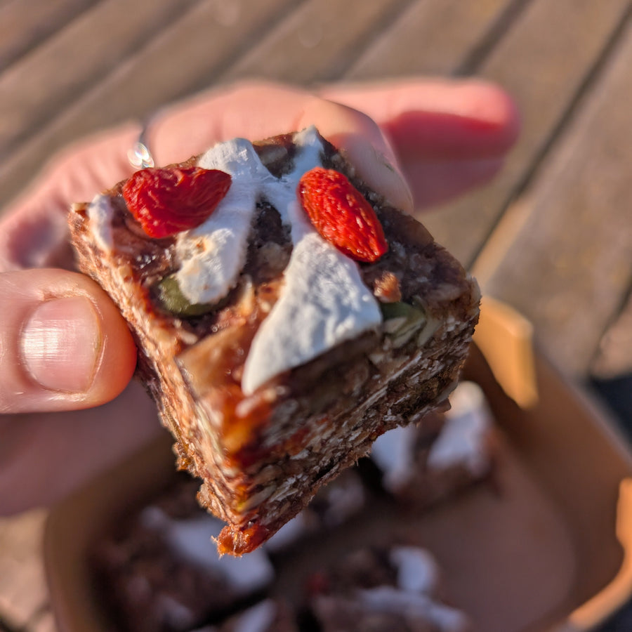 Oat & Date Bliss Bites with Goji & Coconut x 6